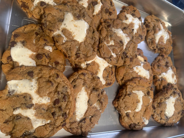 Eighteen S'morkies